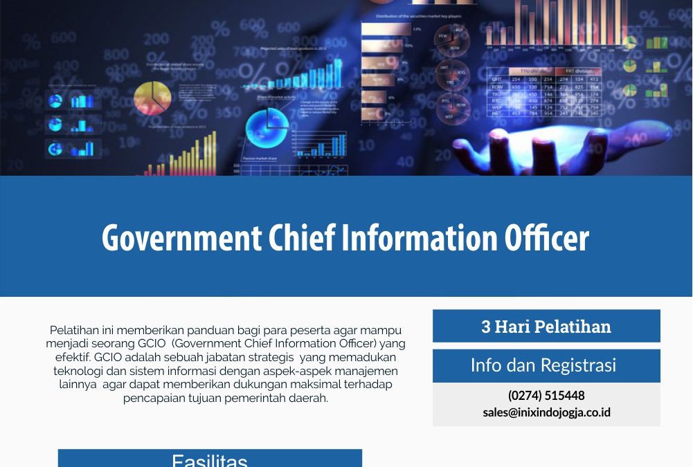 Government Chief Information Officer