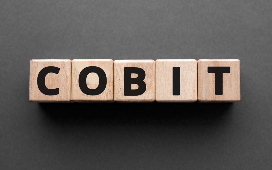 COBIT 2019: Framework Tata Kelola IT yang Bisa Meningkatkan Efektivitas Perusahaan