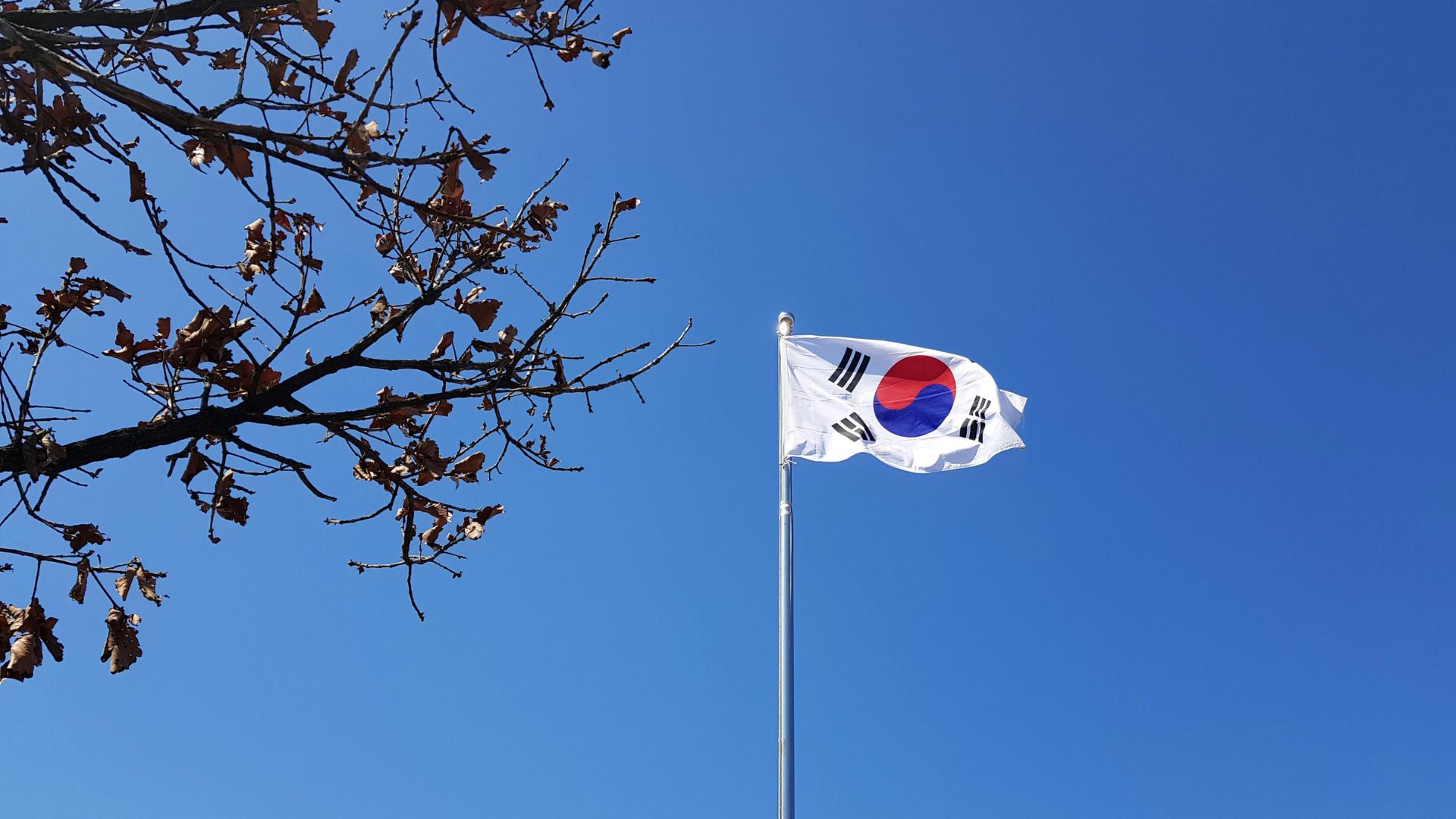 Ilustrasi Korea Selatan