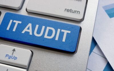 Perubahan Peran Audit IT: Tidak Hanya Sekedar Pemeriksa Kepatuhan