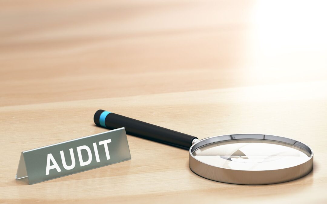 Tahapan Audit IT yang Paling Ideal untuk Organisasi di Era Digital
